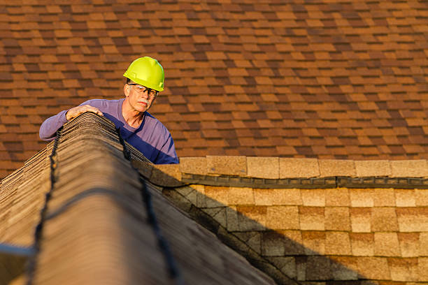 Roof Gutter Cleaning in Hales Corners, WI